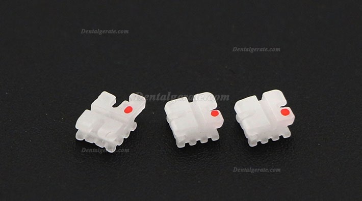 5 Packungen/20 St&uuml;cke Dental Kieferorthop&auml;dische Keramik Bracket St&auml;nder ROTH 022 3 Haken